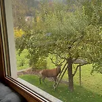 Gaestehaus Hauser * Bach (Tyrol)
