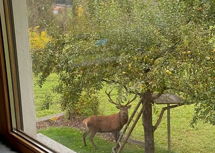 Gaestehaus Hauser * Bach (Tyrol)