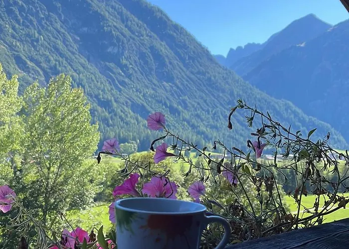 Gaestehaus Hauser Apartament Bach (Tyrol)