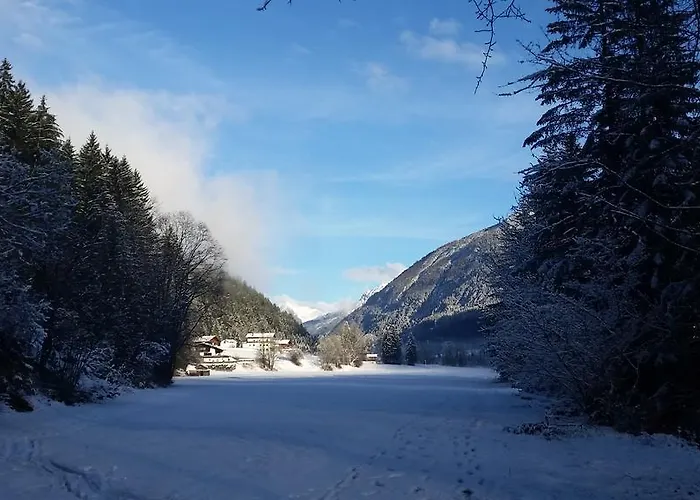 Apartament Gaestehaus Hauser Bach (Tyrol)